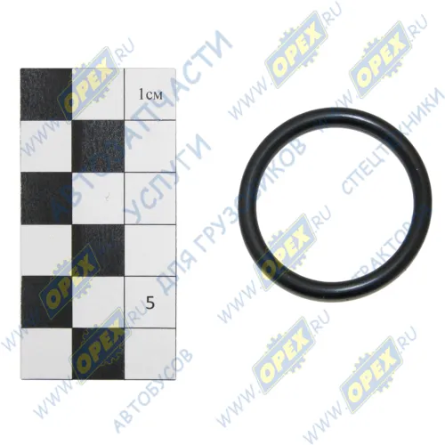 3035026 Кольцо (РТИ) круг.сеч. 030-036-36 ГОСТ-9833-73 AUTOMAX