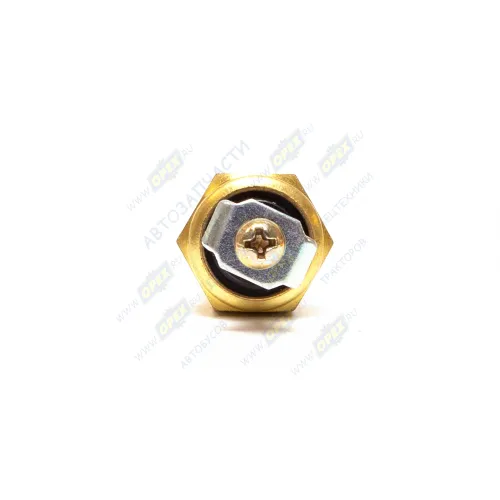 ТМ111-01 AE Датчик Т охлажд. жидкости под болт; t-100 (ЛАЗ,ЛИАЗ,ПАЗ,ДТ-75К,К-700А,Т-70Д,Т-150) AVTOELECTRICA2