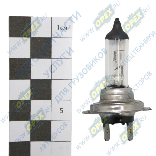 H7-24-70 Лампа накаливания 24V 70W; H7 (PX26d) MAN Lion's (1991-2021), MB Actros MP2/MP3 (2002-2021), RVI Premium (1996-2021), VOLVO L120 (1986-2021); (INTERSVET) AVTOELECTRICA2