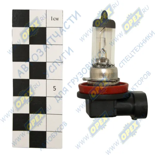 Н11 12- 55 Лампа накаливания 12V 55W; H11 (PGJ19-2) RVI LCV (1970-2020); INTERSVET AVTOELECTRICA1