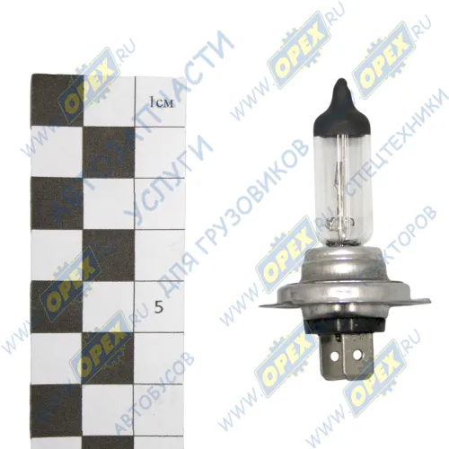 H7-12-55 Лампа накаливания 12V 55W; H7 (PX26d) MB Accelo (2003-2020), VOLVO LCV (1970-2020) MAN LCV (1970-2020), MB Accelo (2003-2020), VOLVO LCV (1970-2020); (INTERSVET) AVTOELECTRICA2