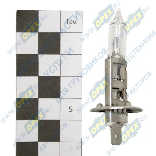 H1-24-70 Лампа накаливания 24V 70W; H1 (P14.5s) DAF SB (1974-2021), MAN TGA (2000-2021), MB Citaro (O 530) (1998-2021), RVI C (2013-2021), SCANIA P-, G-, R-, T; (INTERSVET) AVTOELECTRICA2
