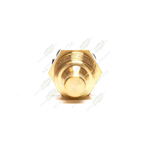 233.3828 AE Датчик Т охлажд. жидкости ф8; М16х1,5; L=52 К=19; t-128; фишка 2 плоские клеммы /МАЗ-ЕВРО-3,ГАЗ/ с AVTOELECTRICA3