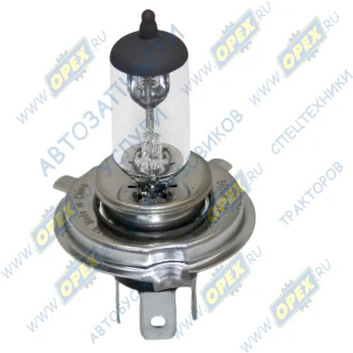 1 987 302 041 Лампа накаливания 12V 60/55 W; H4 (P43t) KRONE (1970-2020), MB MB/MBO (1970-2020), RVI LCV (1970-2020), SCANIA LCV (1970-2020), VOLVO LCV (1970-2020); Pure Light Bosch2