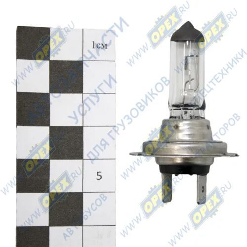 1987302804 Лампа накаливания 12V 55W; H7 (PX26d) MB Accelo (2003-2020), VOLVO LCV (1970-2020) MAN LCV (1970-2020), MB Accelo (2003-2020), VOLVO LCV (1970-2020); Pure Light Bosch2