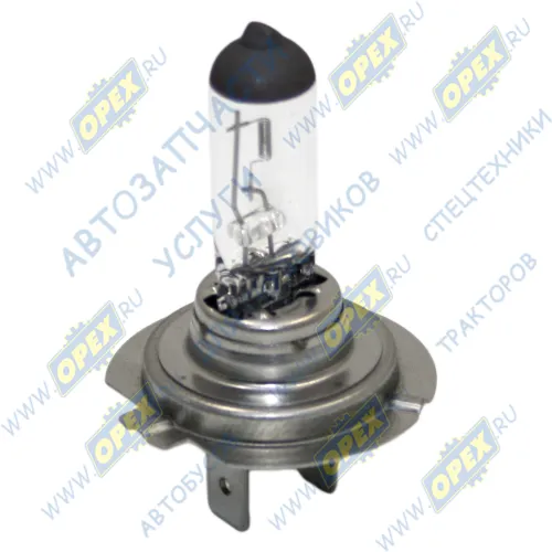 1987302804 Лампа накаливания 12V 55W; H7 (PX26d) MB Accelo (2003-2020), VOLVO LCV (1970-2020) MAN LCV (1970-2020), MB Accelo (2003-2020), VOLVO LCV (1970-2020); Pure Light Bosch3