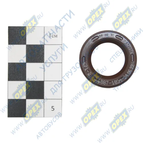 F00R0P0253 Сальник привода ТНВД 20х31х7 БНК 20.00/31.00*7.30, нижний Bosch1