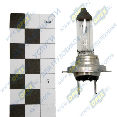 1 987 302 471 Лампа накаливания 24V 70W; H7 (PX26d) MAN Lion's (1991-2021), MB Actros MP2/MP3 (2002-2021), RVI Premium (1996-2021), VOLVO L120 (1986-2021); Trucklight Bosch2