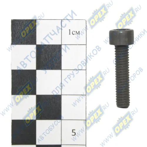 170.151 Бoлт M6x25х1 Р=24 цилиндр. головка под внутрен. шестигр-к 5 SAUER ACHSEN CAMIDA