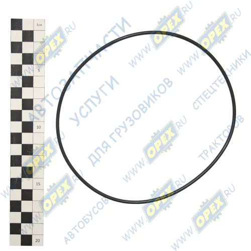 4.20456 Кольцо (РТИ) круг.сеч. 147-153-30 ГОСТ-9833-73 уплотнительное MB 147.0 x 3.0 (015 997 28 48) DT