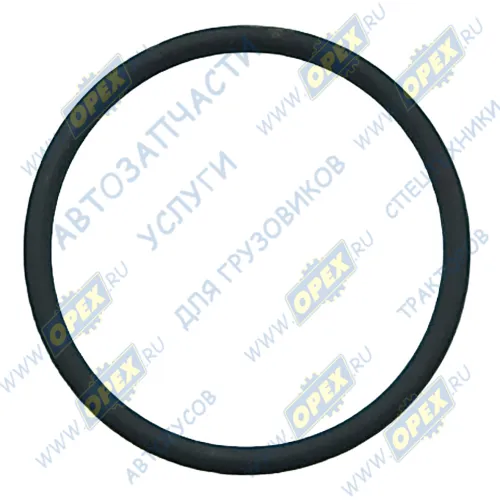 3.69021 Кольцо (РТИ) круг.сеч. 047-052-25 ГОСТ-9833-73 уплотнительное на ТНВД MB Actros, DAF XF95, КАМАЗ-5490 (ф47хф52х2,5) DAF LCV (1970-2020), KNORR (1970-2 DT
