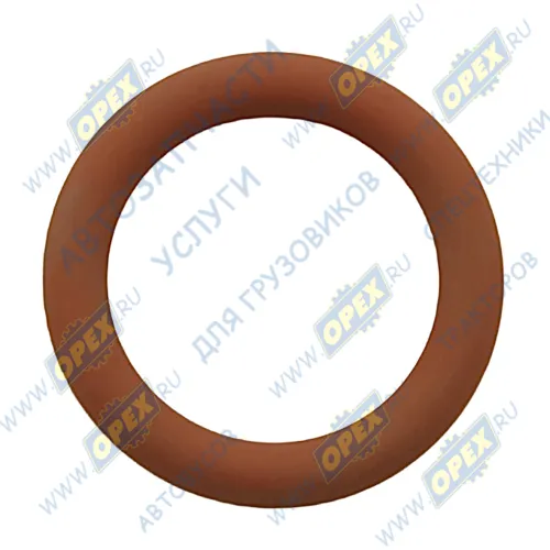 2.12205 Кольцо (РТИ) круг. сеч. 024-034-50 ГОСТ 9833-73 уплотнительное стакана форсунки DT