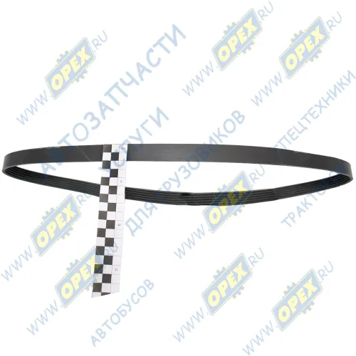 E6PK1370 Ремень поликлиновой 6РК1370 привода вентилятора ЯМЗ-534,536, CITROEN // DODGE // FIAT // MITSUBISHI // OPEL // PEUGEOT Exovo2