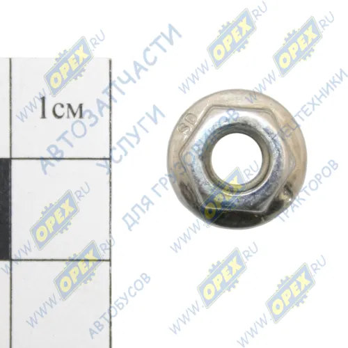 3906216 Гайка DIN6923 М6х1 h=6 К=10 фланцевая Foton1