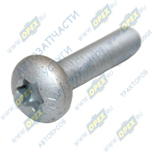 PV10005341 Бoлт M6x25х1 внутр.звездочка Foton