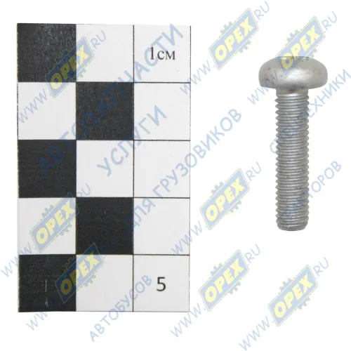 PV10005341 Бoлт M6x25х1 внутр.звездочка Foton1
