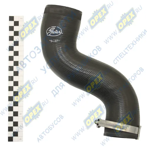 09-0831 Шланг (патрубок) кривой (2 изг.) ф55х64/ф63х72 L=300 (с винт. хомут.) интеркулера левый MB Sprinter 2 2 CDI) 06 ) MB Sprinter (1995-2020) Gates1