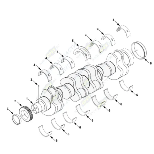 0339 Вкладыши коренные STD; Cummins 6CT,L,ISCe,ISLe,QSC,QSL; (комплект на ДВС) HAFFEN2