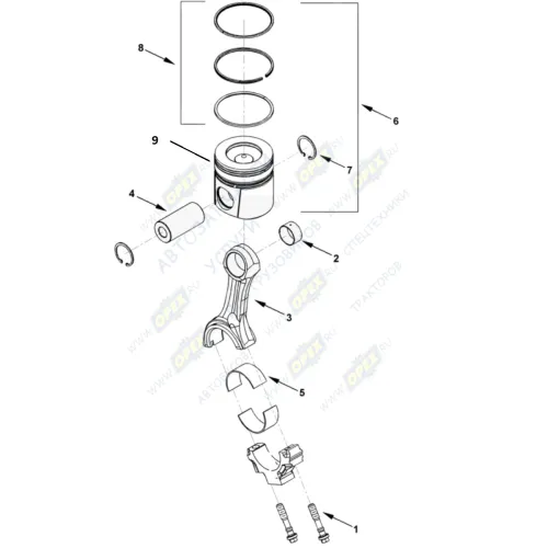 0106 Поршень STD (Ø102 мм); Cummins В5.9 (180л.с.); Cummins EQB180-20 HAFFEN3