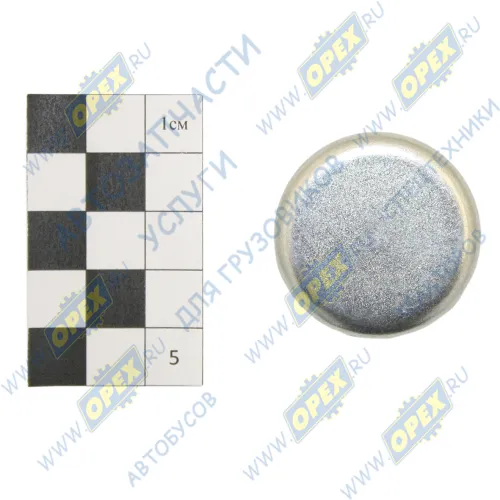 13801 Заглушка (сталь) ф35 h=8 блока цилиндров КАМАЗ, НЕФАЗ, ПАЗ (дв.Cummins ISBe, ISLe, L) HAFFEN1