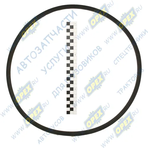 SPA-1180 Ремень клиновой 11х10х1180 /ТМЗ/ 841-1307170 HIMPT1