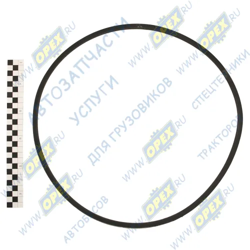 SPZ-1150 Ремень клиновой 10x1150 MAN Lion's (1991-2021) HIMPT1