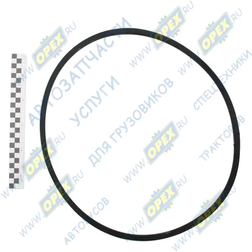 SPA-1250 Ремень клиновой 11х10х1250 240-1308020 ALFA ROMEO / FORD / ISUZU / NISSAN / OPEL / SAAB / TOYOTA / VAUXHALL / VOLKSWAGEN / MAN Lion's (1991-2021), MB HIMPT