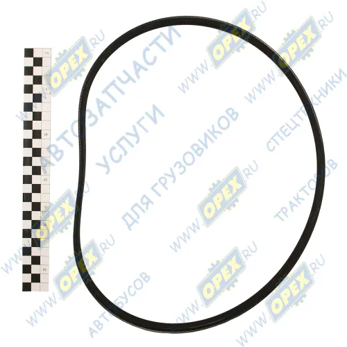 6РК-954 Ремень поликлиновой 6РК954 генератора ЯМЗ-650 HIMPT1