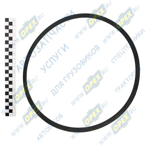 SPA-975 Ремень клиновой 11х10х975 BMW / FORD / MAZDA / MITSUBISHI / NISSAN / PORSCHE / SAAB / SKODA / TOYOTA / VOLKSWAGEN / VOLVO / IVECO Eurocargo III (2008- HIMPT1