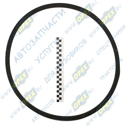 19х12.5х1450 Ремень клиновой 19х12.5х1450 /СМД18.А-01.41/; гладкий HIMPT1