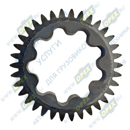 200V05104-0251 Шестерня, Масляный насос MAN Lion's (1991-2021) Howo1