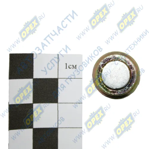 Q62404 Пробка DIN906 М20х1,75 h=22 коническая с магнитом под внутр.шестигр-к 12 сливная КАМАЗ-Compass JAC3