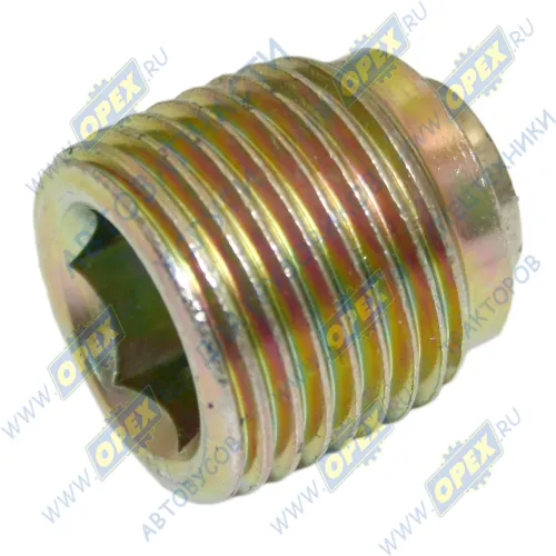 Q62404 Пробка DIN906 М20х1,75 h=22 коническая с магнитом под внутр.шестигр-к 12 сливная КАМАЗ-Compass JAC