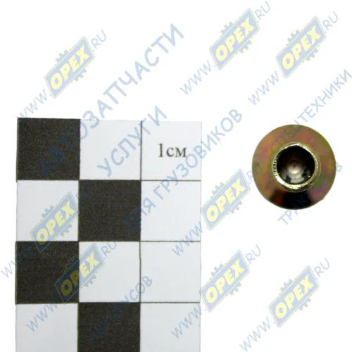 Q4640819F3 Заклепка ф8х20 сталь полутрубчатая тормозной колодки JAC-N80,90 JAC2