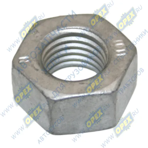 K25.00643 Гайка DIN934 М12х1,5 h=10 К=19 кард. вала Kacmazlar