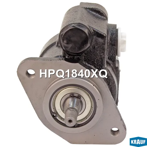 HPQ1840XQ Насос ГУР DAF WS315l engine DAF Bus (1970-2021) Krauf4