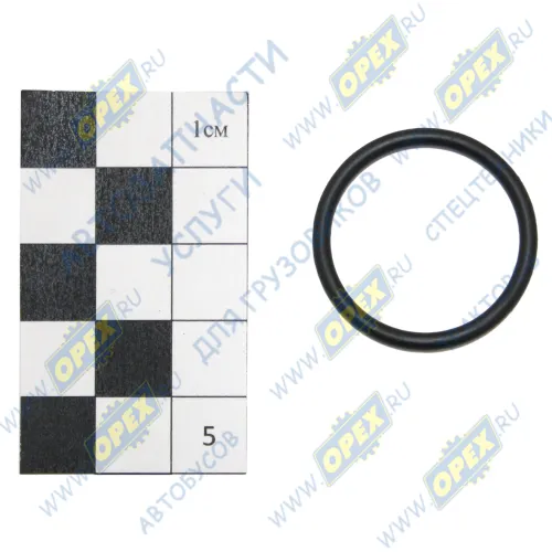 025-029-25 Кольцо (РТИ) круг.сеч. 025-029-25 ГОСТ-9833-73 NQK