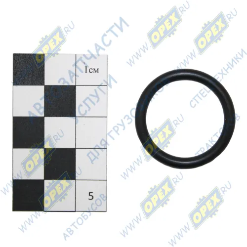 025-031-36 Кольцо (РТИ) круг.сеч. 025-032-35 ГОСТ-9833-73 уплотнительное 25х32,4х3,7мм; (х6/х8); + NQK