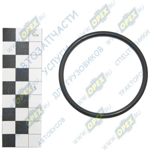 060-066-36 Кольцо (РТИ) круг.сеч. 060-066-36 ГОСТ-9833-73 NQK