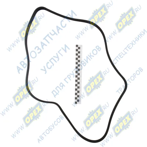 6РК-1703 Ремень поликлиновой AUDI / CITROEN / FIAT / HYUNDAI / FORD / PEUGEOT / OPEL / Rubena2