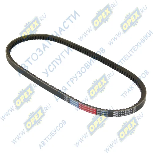 AVX13-925SF Ремень клиновой 13x925 МB,RVI,Volvo,Audi 80/100/200 2.0-2.3 82-95,Mazda 323 1.7D 86> LAND ROVER / MAZDA / MITSUBISHI / NISSAN / MB MB/MBO (1970-2021); зубчатый Rubena