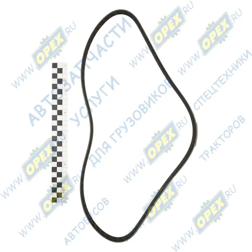 5РК-1025 Ремень поликлиновой 5РК1025 ЯМЗ-650,651 привода генератора FORD Escort VII 1,8TD 2/95-2/99,MAZDA 626 V 1,9/2,0 5/97->,TOYOTA Avensis 2,0 9/97-10/00, O Rubena1