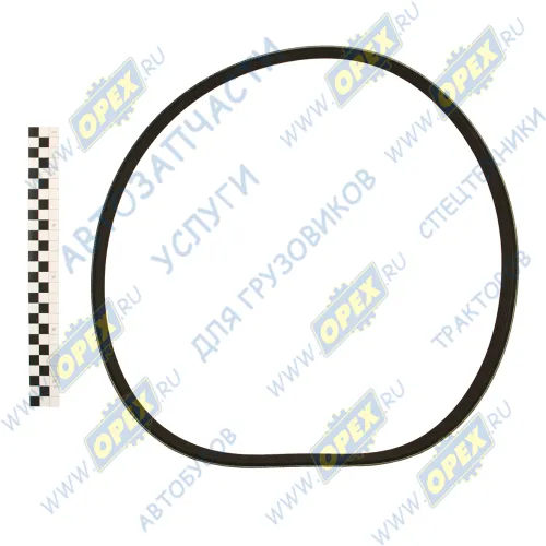 8PK-1230 Ремень поликлиновой 8РК1230 КАМАЗ (дв.Cummins) IVECO EuroCargo, EuroFire, MAZDA Mazda6, VOLVO FL10 IVECO Eurocargo II (2003-2008) Rubena1