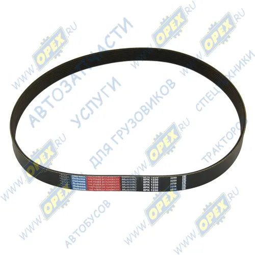 8PK-1230 Ремень поликлиновой 8РК1230 КАМАЗ (дв.Cummins) IVECO EuroCargo, EuroFire, MAZDA Mazda6, VOLVO FL10 IVECO Eurocargo II (2003-2008) Rubena