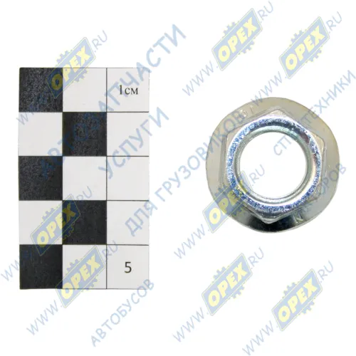 020.150 Гайка DIN6923 М16х1,5 MB BENZ 208 2.3 Diesel (601)[OM601.940] 11.1988-06.1995 VW LT 28-35 2.3 [AGL] 05.1996-11.2001 VW LT 40-55 2.3 [AGL] 05. MA; h=14 Sampa1