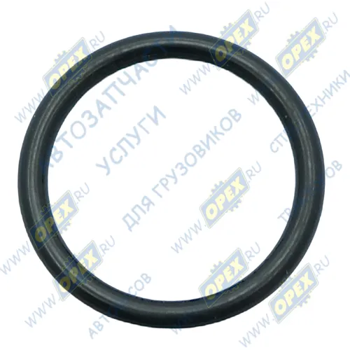 115.571 Кольцо (РТИ) круг.сеч. 015-020-25 ГОСТ-9833-73 уплотнительное Ф-20Х14 SCANIA N Bus (2004-2020) Sampa