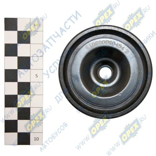 610800060494 Ролик обводной дв. WP7 МАЗ/SHAANXI Shaanxi1