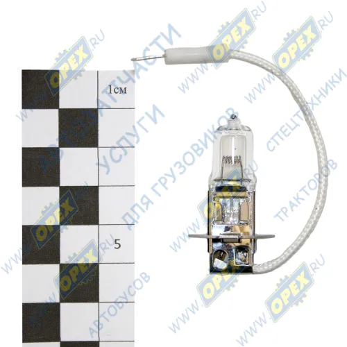 24703 Лампа накаливания 24V 70W; H3 (PK22s) DAF LCV (1970-2020), FRUEHAUF (1970-2020), KRONE (1970-2020), MAN Bus (1970-2020), RVI D (2013-2020), SCHMITZ (1 SKV1