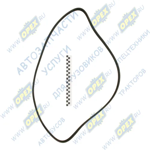8PK1765 Ремень поликлиновой 8РК1770 DAF CF65 (2001-2013) Technik1