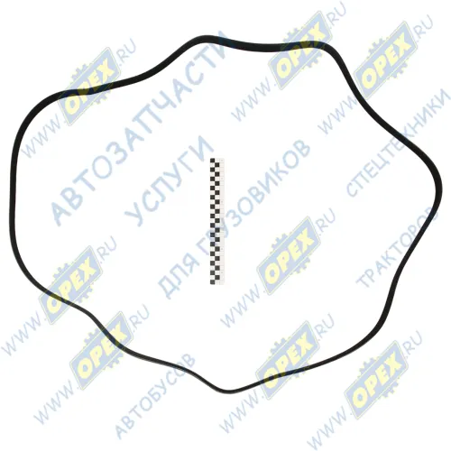 8PK2613 Ремень поликлиновой 8РК2613; Foton Tunland Technik1